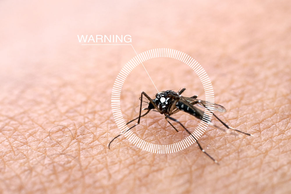 Bahaya Virus Zika