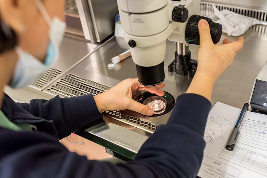 Pentingnya Konsultasi Dokter Bayi Tabung l