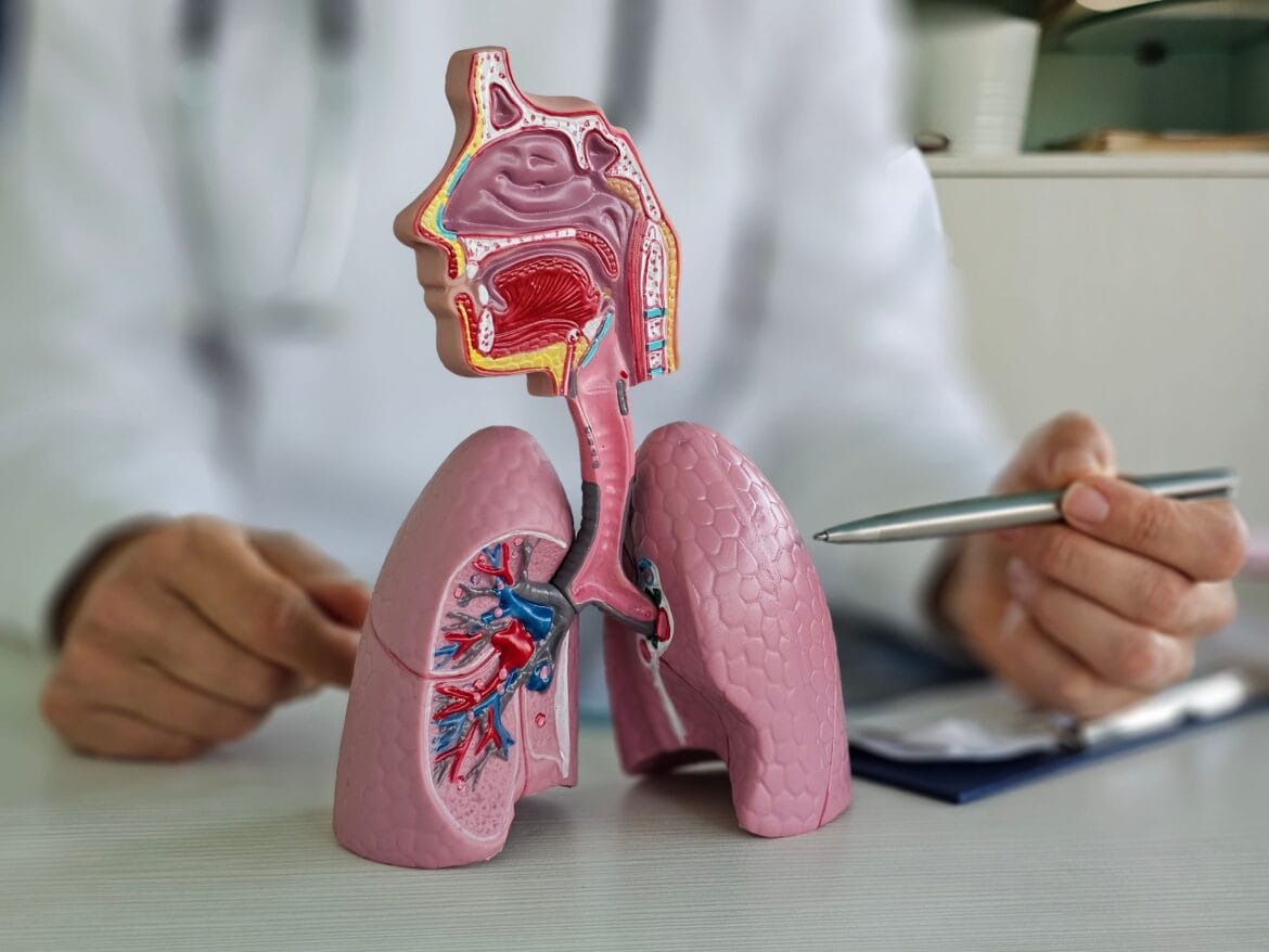 penyakit paru obstruktif kronis