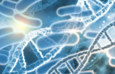 Mengenal Bakteri Salmonella Typhi dan Gejalanya