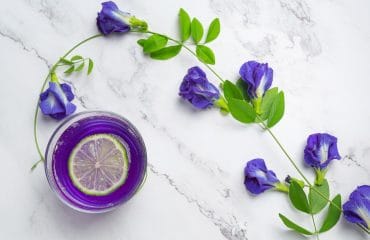 manfaat bunga telang