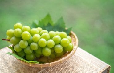 Manfaat Anggur Shine Muscat