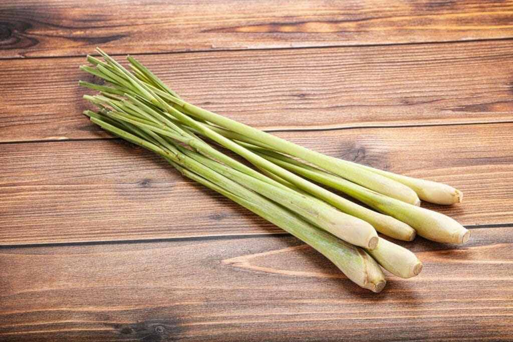 Cara mengolah serai untuk obat