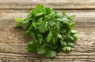 manfaat daun ketumbar