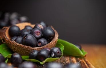 manfaat buah jamblang