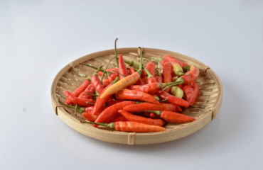 manfaat cabai untuk kesehatan