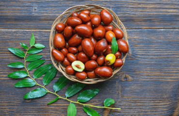manfaat jujube
