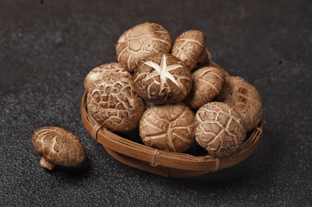 Manfaat Jamur Shitake