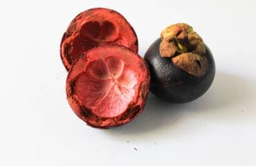 manfaat kulit manggis