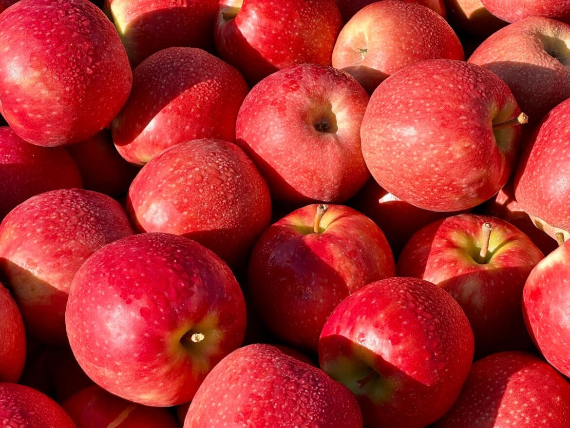 manfaat buah berwarna merah