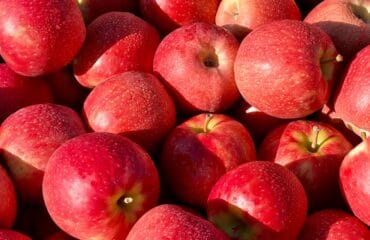 manfaat buah berwarna merah