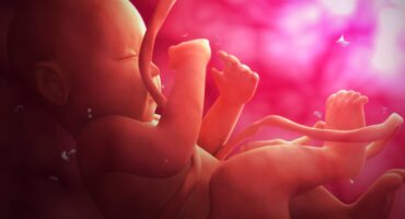 posisi janin dalam kandungan