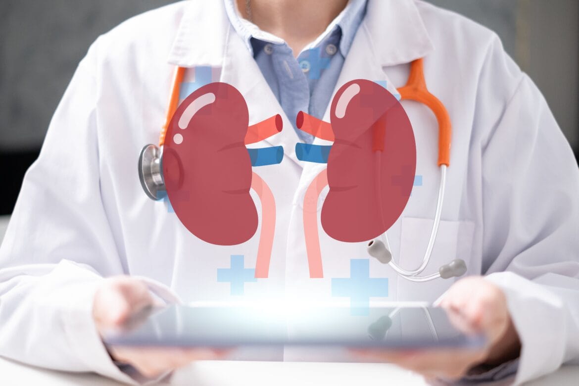 transplantasi ginjal adalah