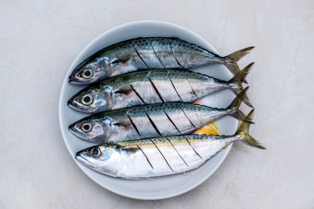 Manfaat ikan kembung