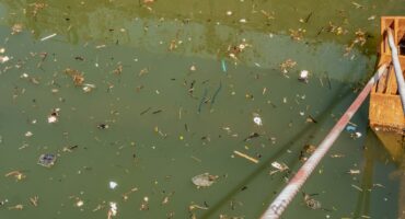 dampak pencemaran air