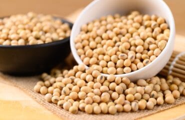 manfaat kacang kedelai