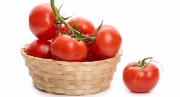 tomat untuk darah tinggi