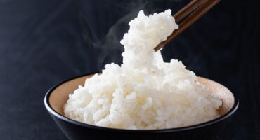 makanan yang mudah dicerna