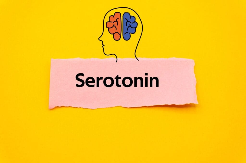 fungsi serotonin