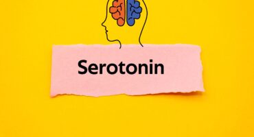 fungsi serotonin