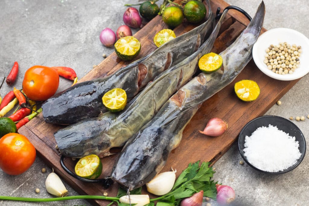 Manfaat ikan lele