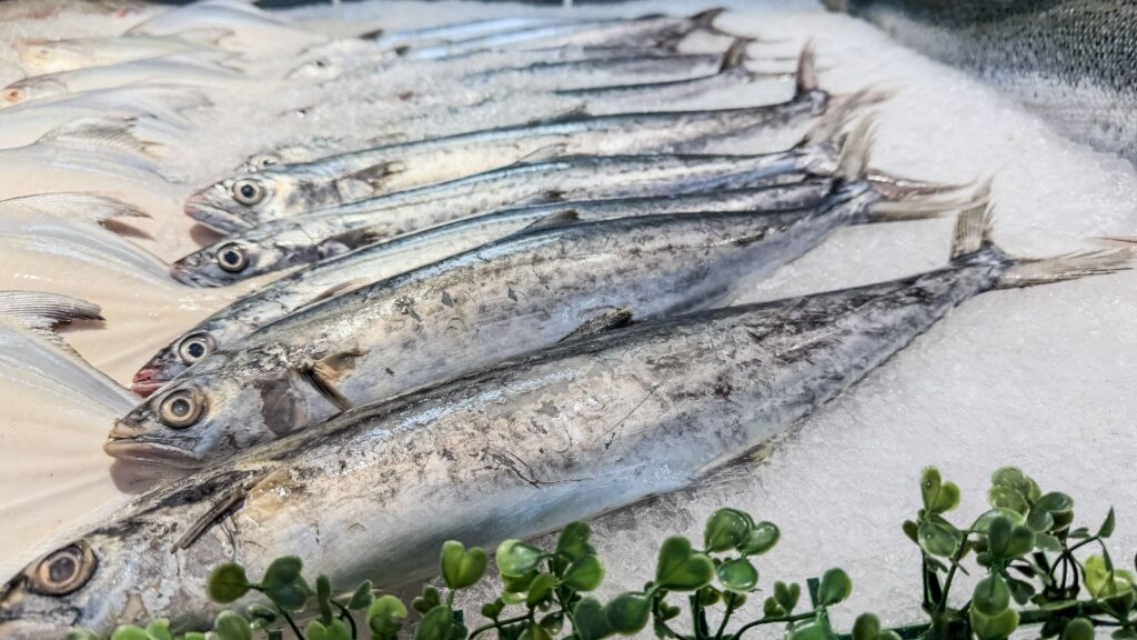 Manfaat ikan tenggiri