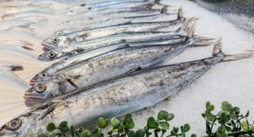 Manfaat ikan tenggiri